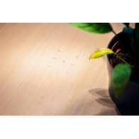 Obrysová fólie Touch Surface | MADASH